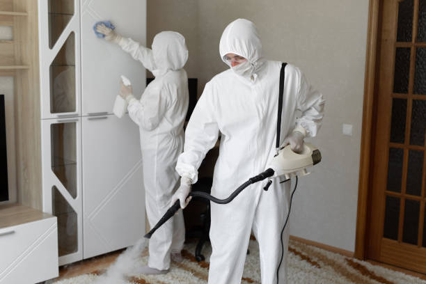 24/7 Emergency Odor Removal experts in Victoria, VA